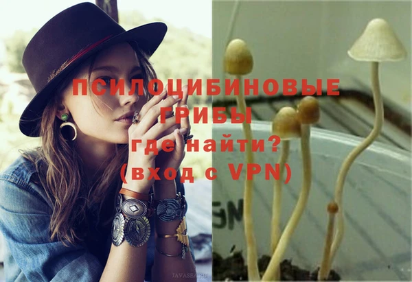 PSILOCYBIN Алзамай