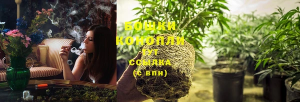 PSILOCYBIN Алзамай