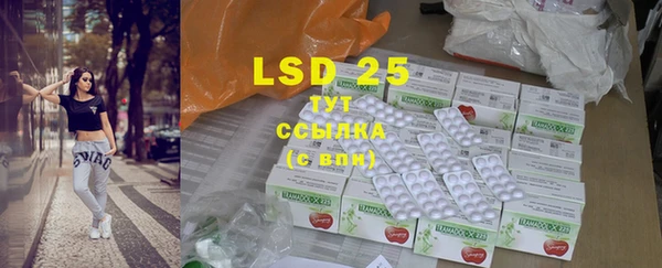 PSILOCYBIN Алзамай